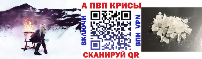 где найти Грязи KRAKEN Alfa_PVP крисы CK