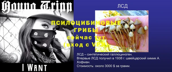 спайс Иннополис