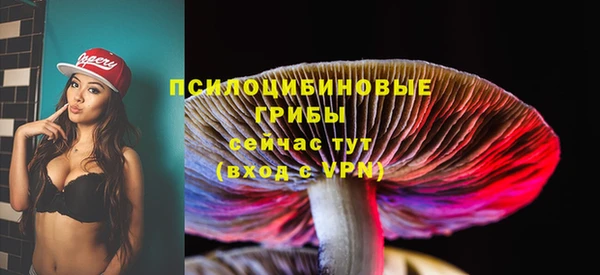а пвп мука Бородино