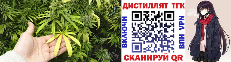 Дистиллят ТГК Wax Грязи