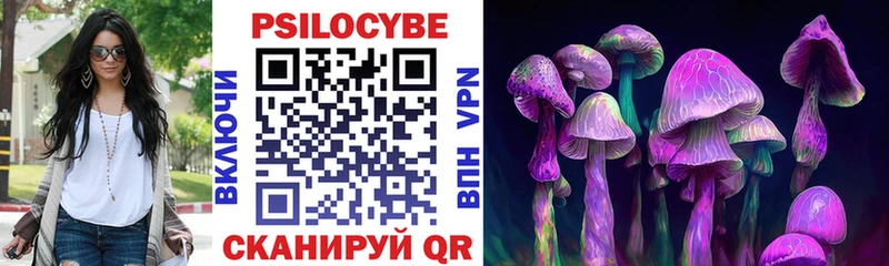 Псилоцибиновые грибы Cubensis  Грязи 